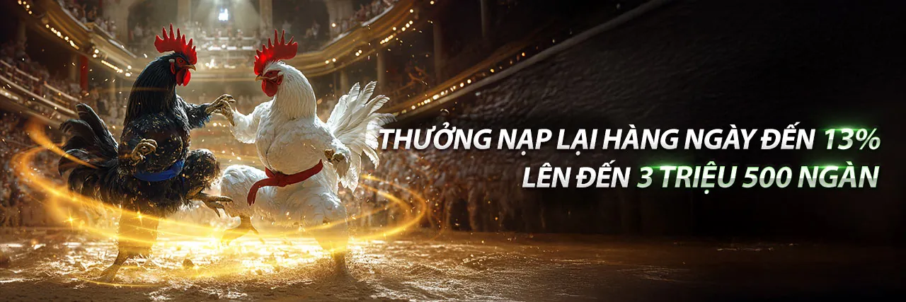 Đá Gà Trực Tuyến 999ok login